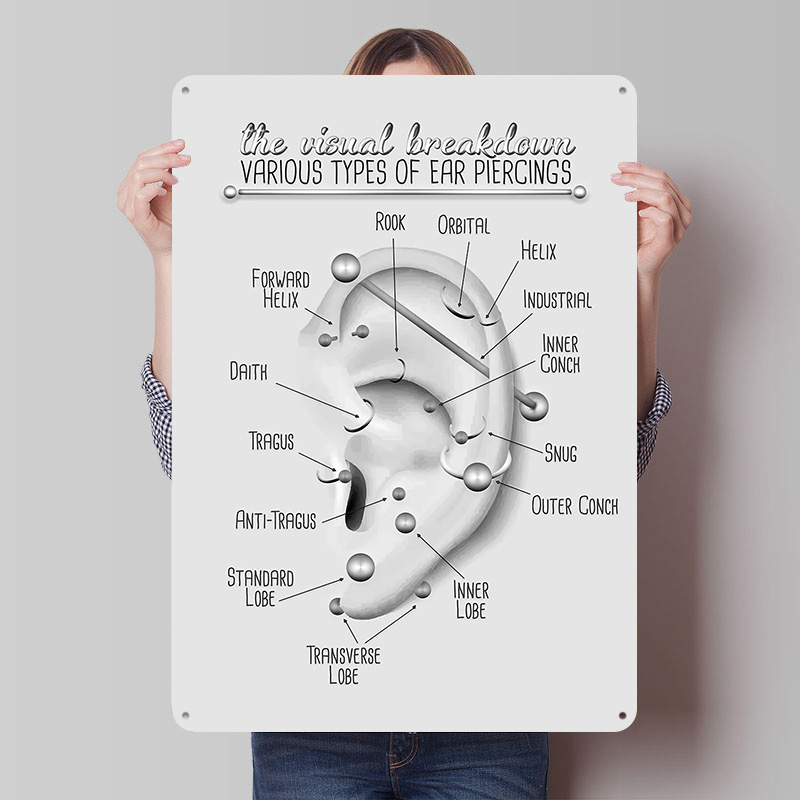 Ear Piercing Chart Metal Poste - огляд і ціна Desk Setup Poster